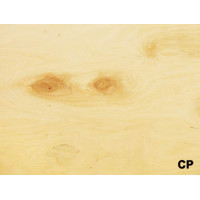 Фанера шлифованная ФК 3/4 СР/С 2500х1250х10