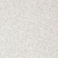 Столешница 7655 CT (F73009) Quartz 4100х600х38 PFL