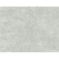 Столешница 6460 FG Raw Concrete 4100х600х38E PFL