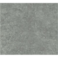 Стільниця 6461 FG Raw Concrete Graphite 4100х600х38E PFL 